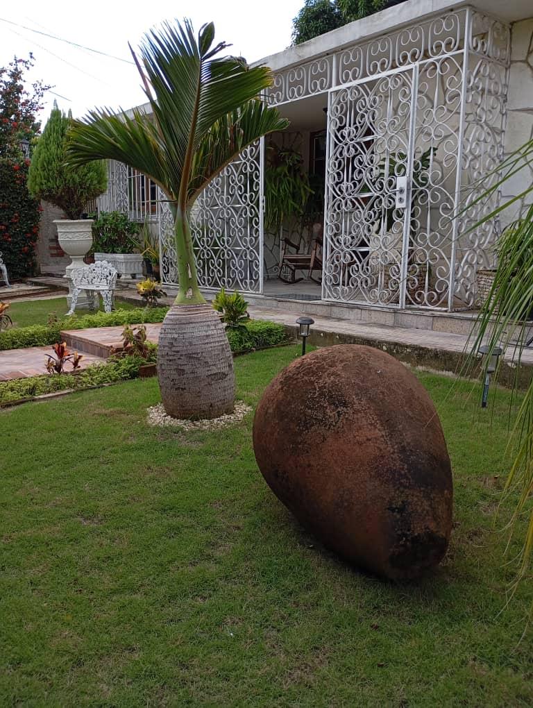 Suite Guanabacoa